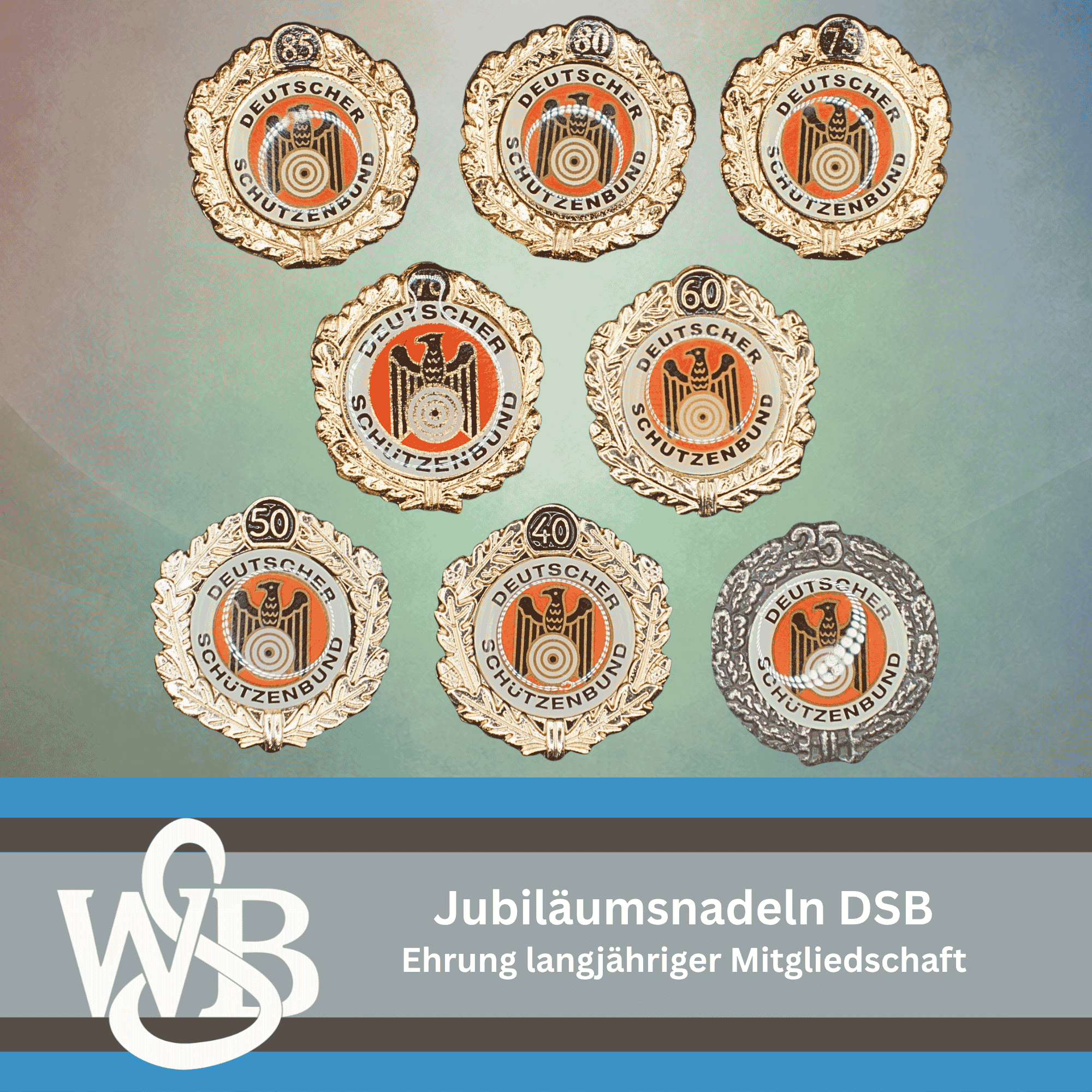 WSB Jubilaumsnadeln DSB
