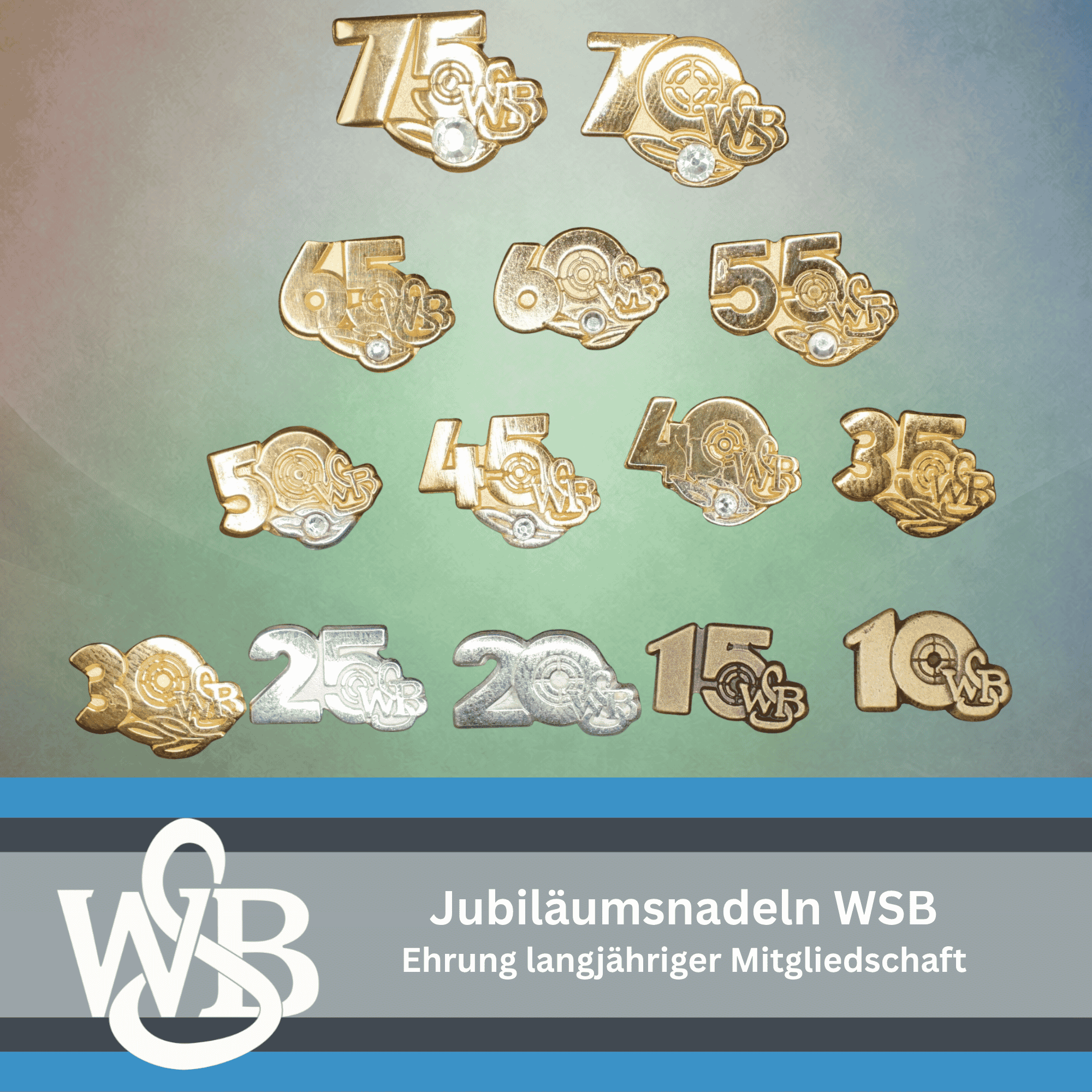 WSB Jubilaumsnadeln