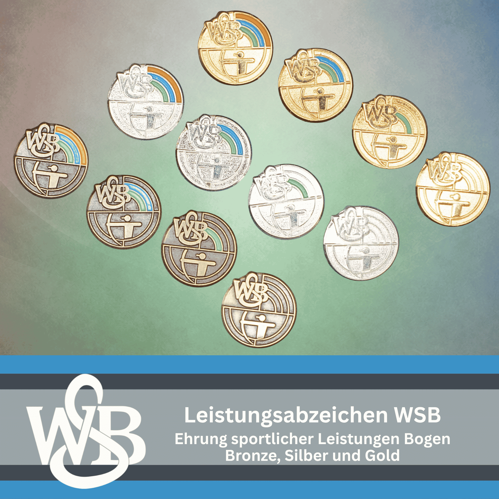 WSB Leistungsabzeichen Bogen