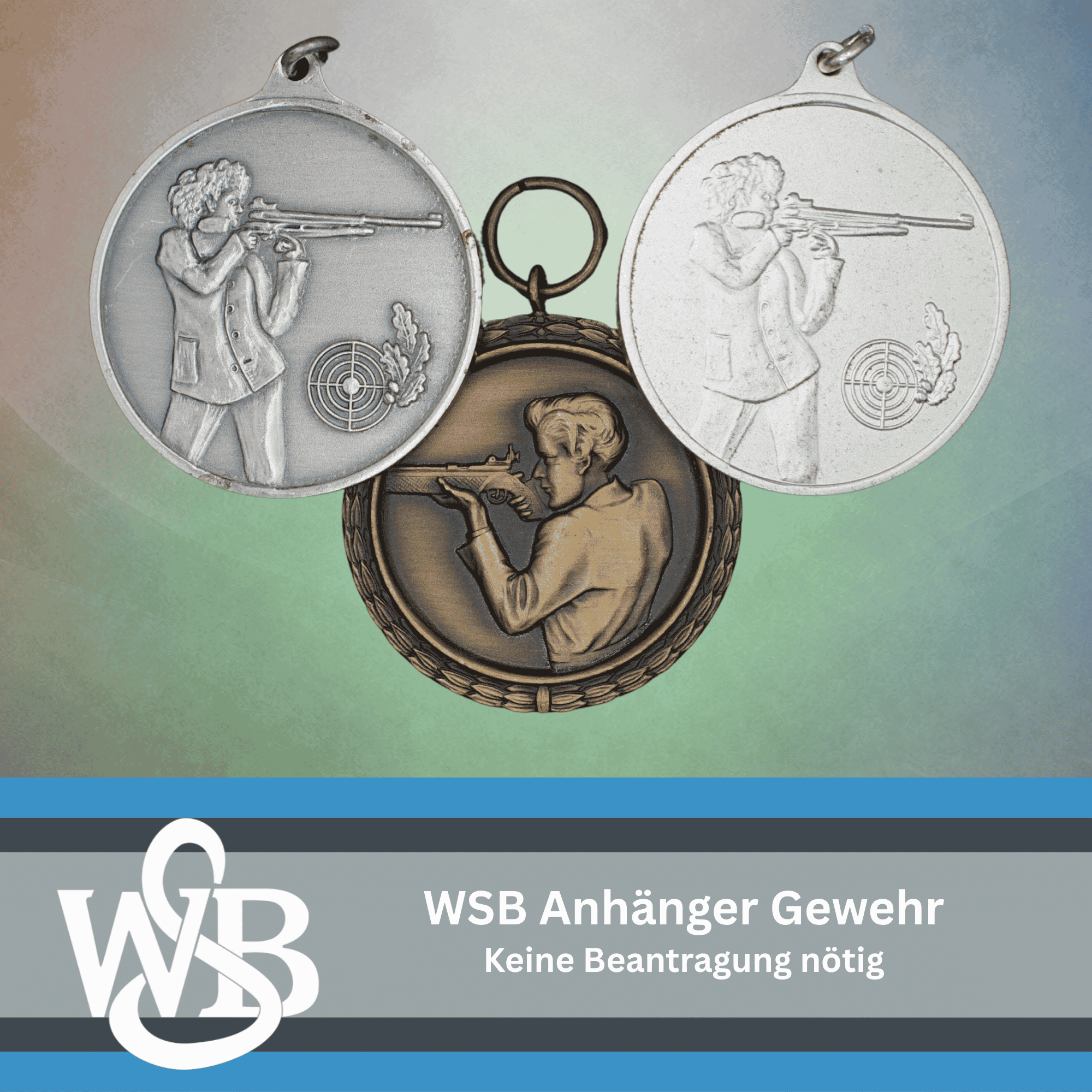 WSB Munzen Gewehr Website