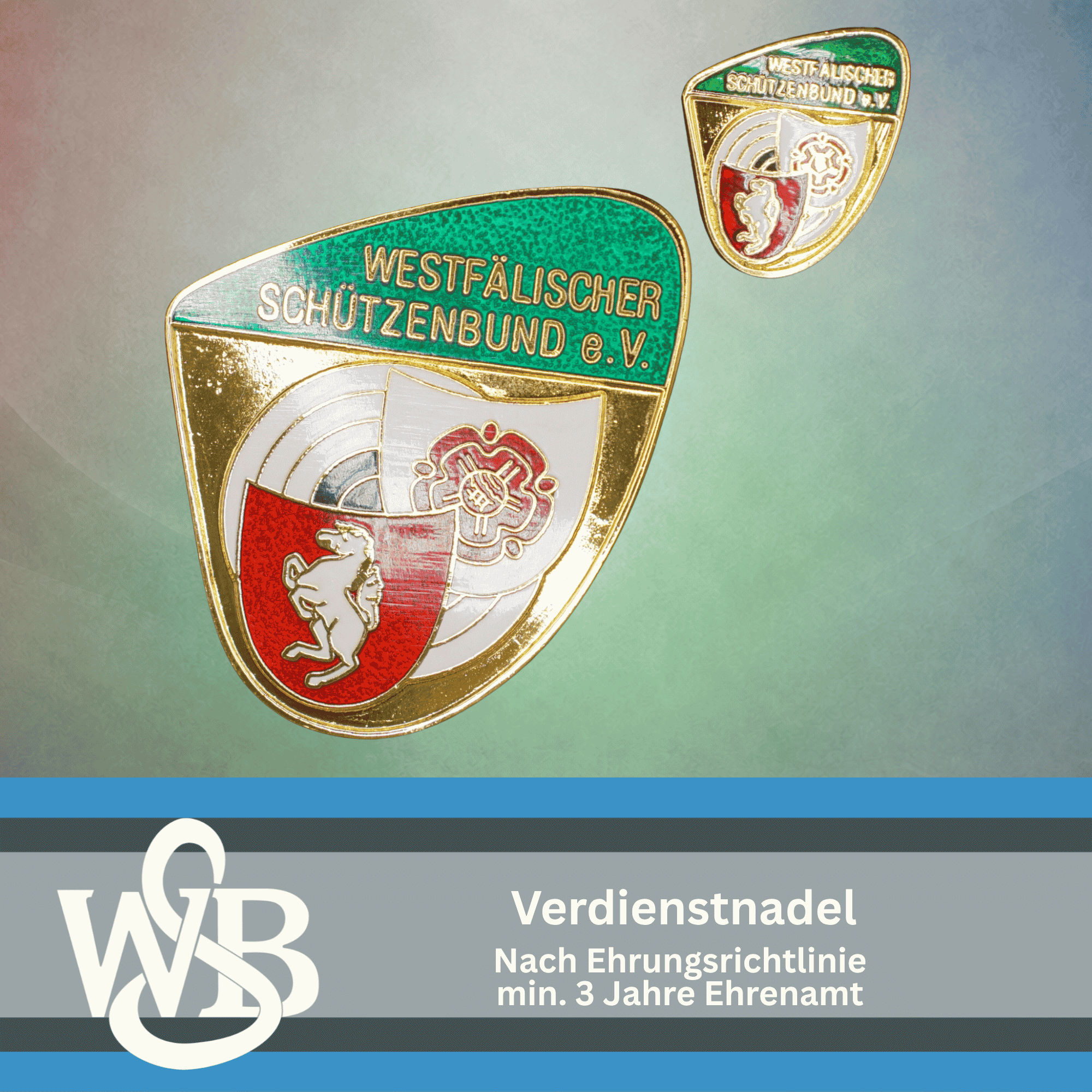 WSB Verdienstnadel Website