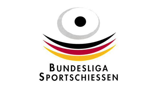 2010 Bundesliga